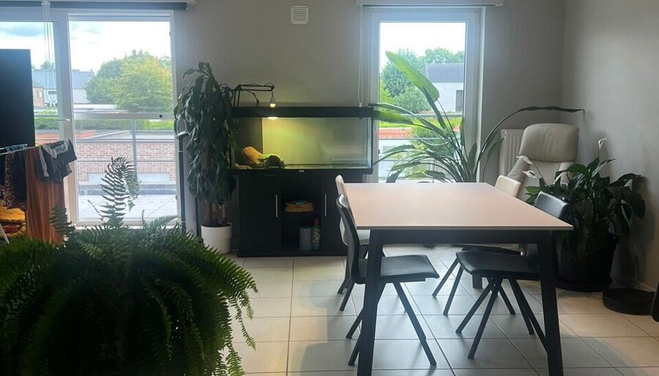 Appartement te huur in Berlaar