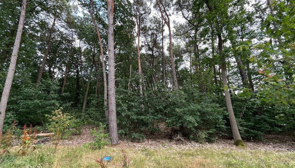 Bouwgrond te koop in Grobbendonk