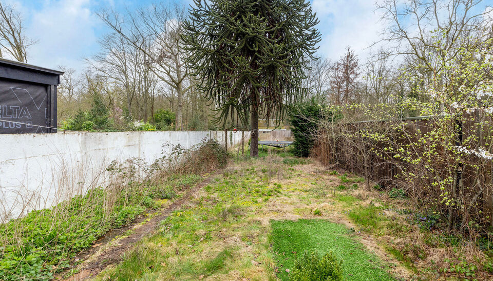 Eengezinswoning te koop in Nijlen