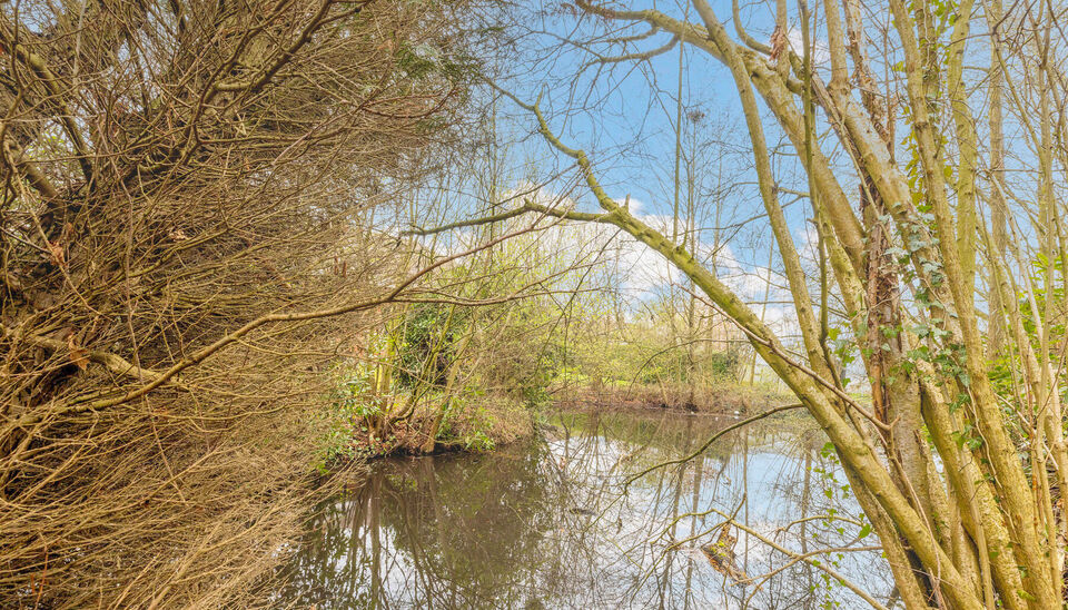 Eengezinswoning te koop in Nijlen