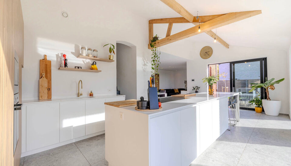 Hoeve te koop in Nijlen