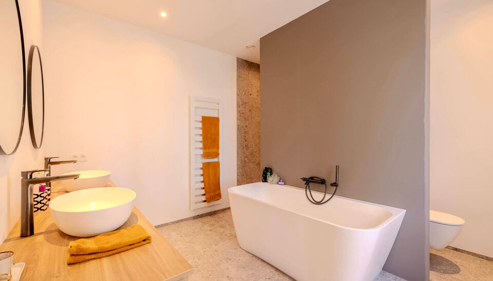 Hoeve te koop in Nijlen