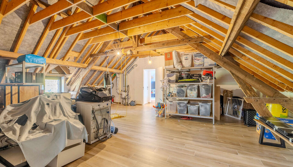 Hoeve te koop in Nijlen