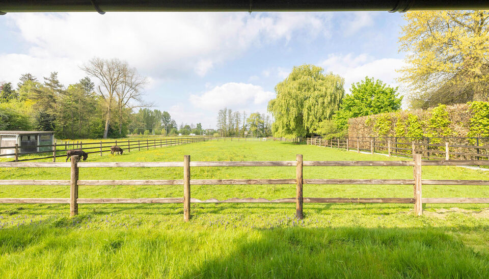 Huis te koop in Nijlen