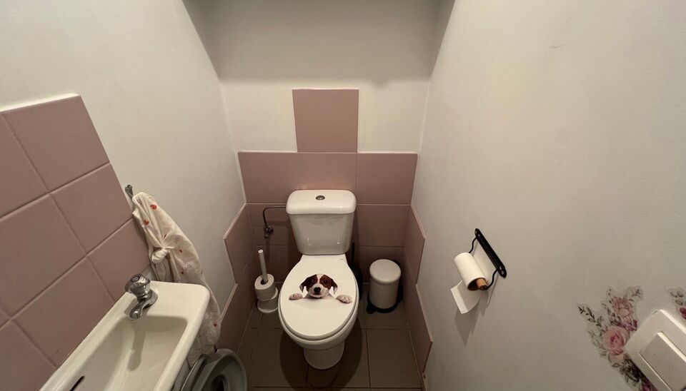 Individuele handelszaak te huur in Nijlen