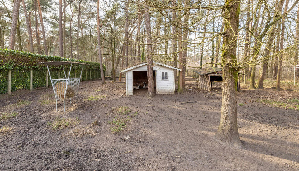 Villa te koop in Grobbendonk